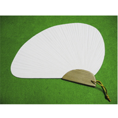 부채조가비(31cm×20.5cm)