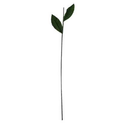 백합대 (1묶음50개)한정상품