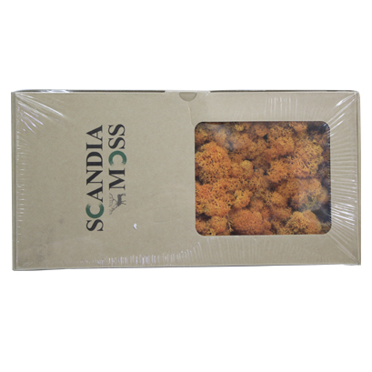 스칸디아모스(오렌지)어텀 500g NO13251
