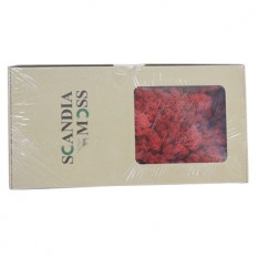스칸디아모스(빨강)500g NO13257