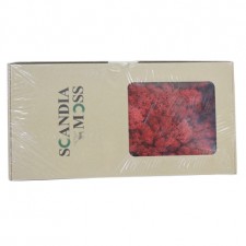 스칸디아모스(빨강)약80~100g NO13257