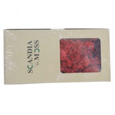 스칸디아모스(빨강)약80~100g NO13257