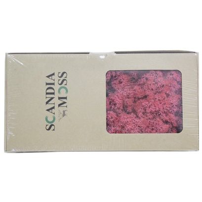 스칸디아모스(핑크)분홍 약80~100g NO13262