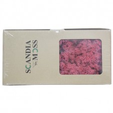 스칸디아모스(핑크)분홍 약80~100g NO13262