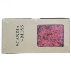 스칸디아모스(핑크)분홍 약80~100g NO13262