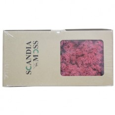 스칸디아모스(핑크)분홍 약80~100g NO13262