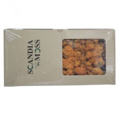 스칸디아모스(오렌지)어텀 약80g~100g NO13251