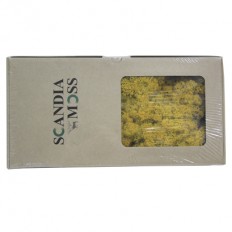 스칸디아모스(노랑)옐로우 80g~100g NO13260