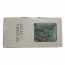 스칸디아모스(퍼시픽그린)약80g~100g NO13287