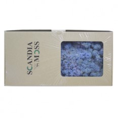 스칸디아모스(라벤더블루)80g~100g NO10585