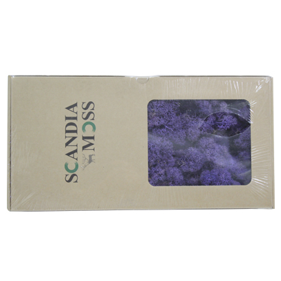 스칸디아모스(보라)약80g~100g NO13267