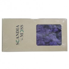 스칸디아모스(보라)약80g~100g NO13267