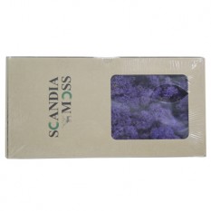 스칸디아모스(보라)약80g~100g NO13267