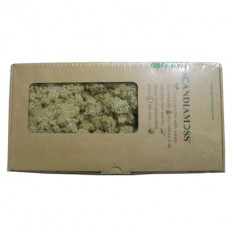 스칸디아모스(네츄럴)80g~100g NO13256