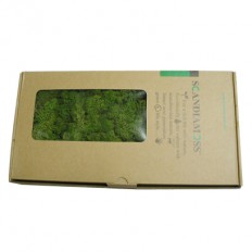 스칸디아모스(모스그린)80g~100g NO13254