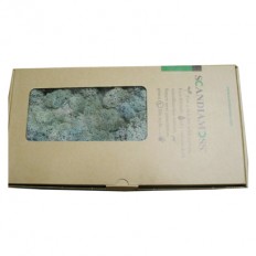 스칸디아모스(아이스블루)약80g~100g NO13259