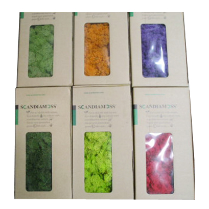 스칸디아모스 80g~100g