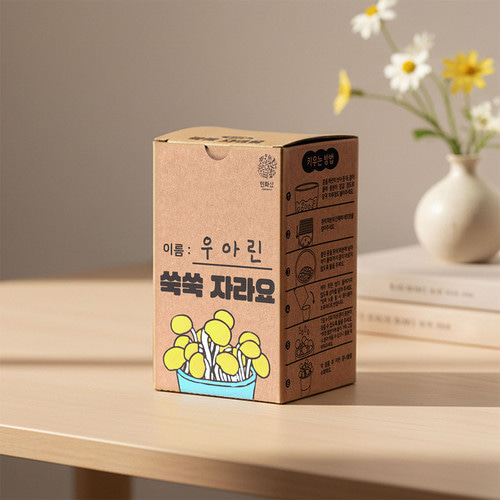 민화샵 콩나물 키우기 키트